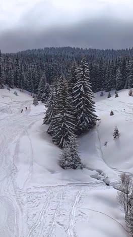 Video-Vertical-Vista-De-ángulo-Alto-Esquiadores-Telesilla-De-Montaña-Cubierta-De-Nieve-2